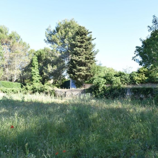  AIGUES-VIVES IMMO : Terrain | AIGUES-VIVES (30670) | 1 300 m2 | 210 000 € 