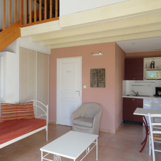AIGUES-VIVES IMMO : Maison / Villa | GALLARGUES-LE-MONTUEUX (30660) | 35.00m2 | 76 000 € 
