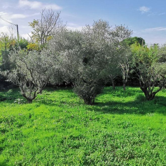  AIGUES-VIVES IMMO : Terrain | AIGUES-VIVES (30670) | 0 m2 | 259 000 € 