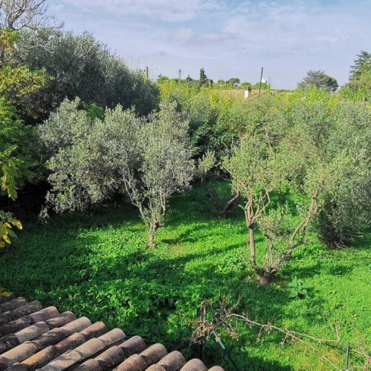 AIGUES-VIVES IMMO : Terrain | AIGUES-VIVES (30670) | 0 m2 | 259 000 € 