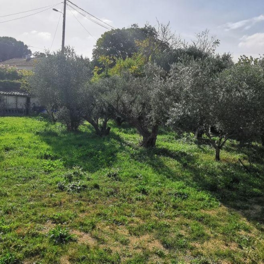  AIGUES-VIVES IMMO : Terrain | AIGUES-VIVES (30670) | 0 m2 | 259 000 € 