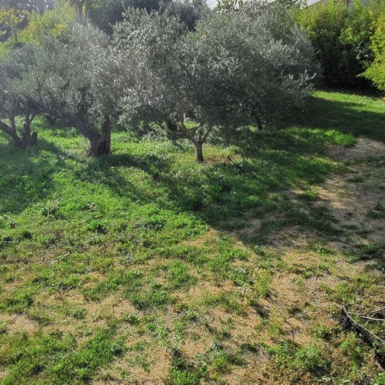  AIGUES-VIVES IMMO : Terrain | AIGUES-VIVES (30670) | 0 m2 | 259 000 € 