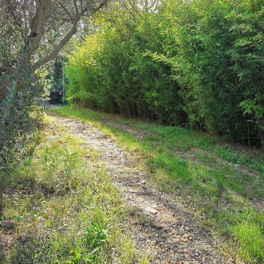  AIGUES-VIVES IMMO : Terrain | AIGUES-VIVES (30670) | 0 m2 | 259 000 € 