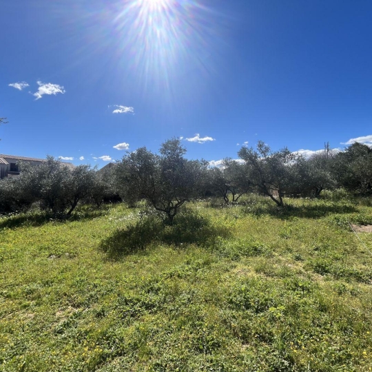 AIGUES-VIVES IMMO : Terrain | AUBAIS (30250) | m2 | 248 000 € 