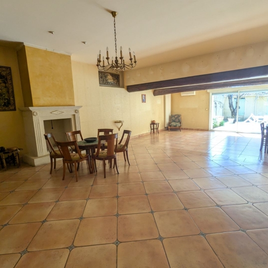  AIGUES-VIVES IMMO : Maison / Villa | AIGUES-VIVES (30670) | 311 m2 | 373 000 € 