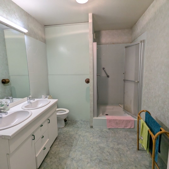  AIGUES-VIVES IMMO : Maison / Villa | AIGUES-VIVES (30670) | 311 m2 | 373 000 € 