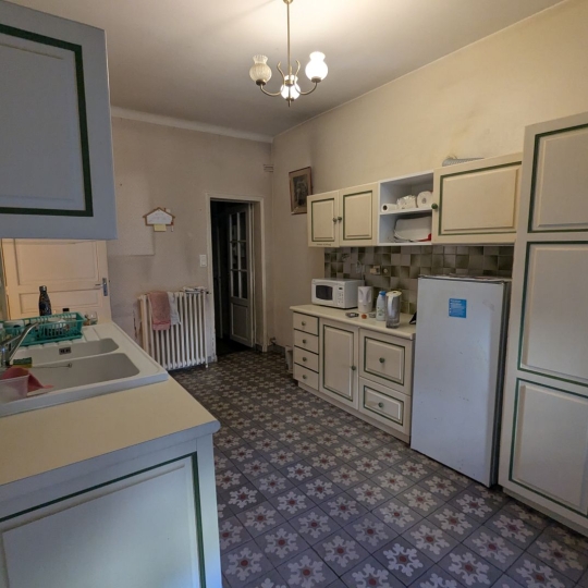  AIGUES-VIVES IMMO : Maison / Villa | AIGUES-VIVES (30670) | 311 m2 | 373 000 € 