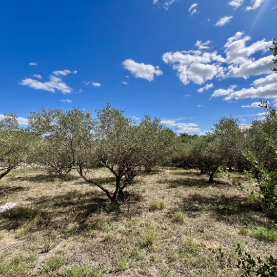  AIGUES-VIVES IMMO : Ground | AUBAIS (30250) | 0 m2 | 214 000 € 