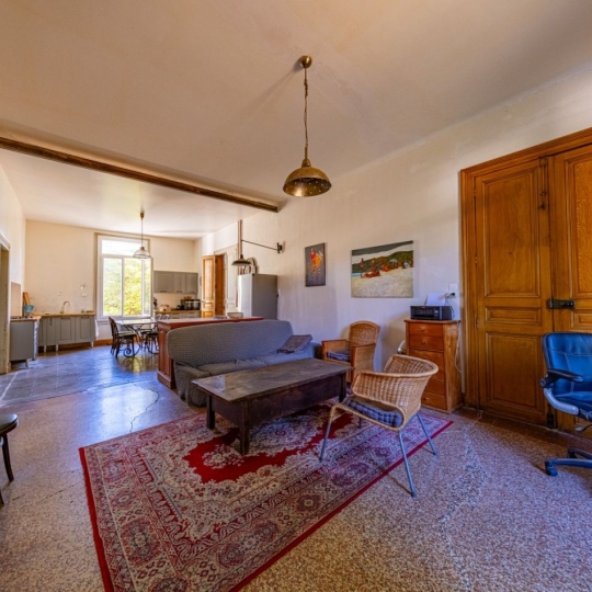  AIGUES-VIVES IMMO : Maison / Villa | AIGUES-VIVES (30670) | 230 m2 | 605 000 € 
