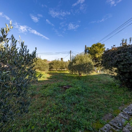  AIGUES-VIVES IMMO : Maison / Villa | AUBAIS (30250) | 210 m2 | 495 000 &euro; 
