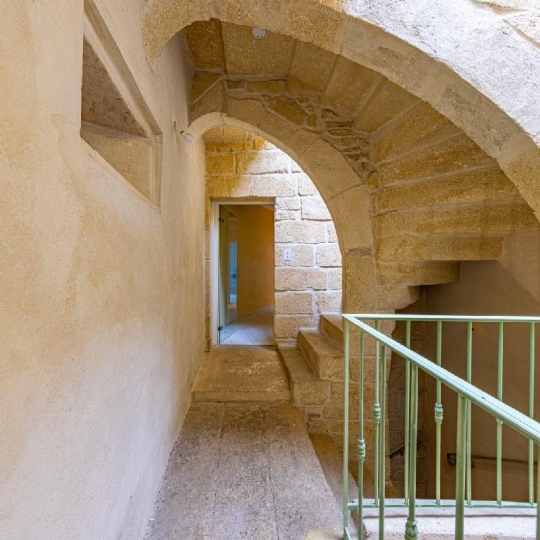  AIGUES-VIVES IMMO : Maison / Villa | AIGUES-VIVES (30670) | 220 m2 | 450 000 &euro; 