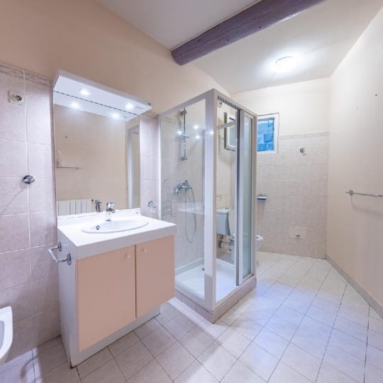  AIGUES-VIVES IMMO : Maison / Villa | AIGUES-VIVES (30670) | 220 m2 | 450 000 &euro; 