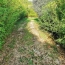  AIGUES-VIVES IMMO : Terrain | AIGUES-VIVES (30670) | 0 m2 | 259 000 € 