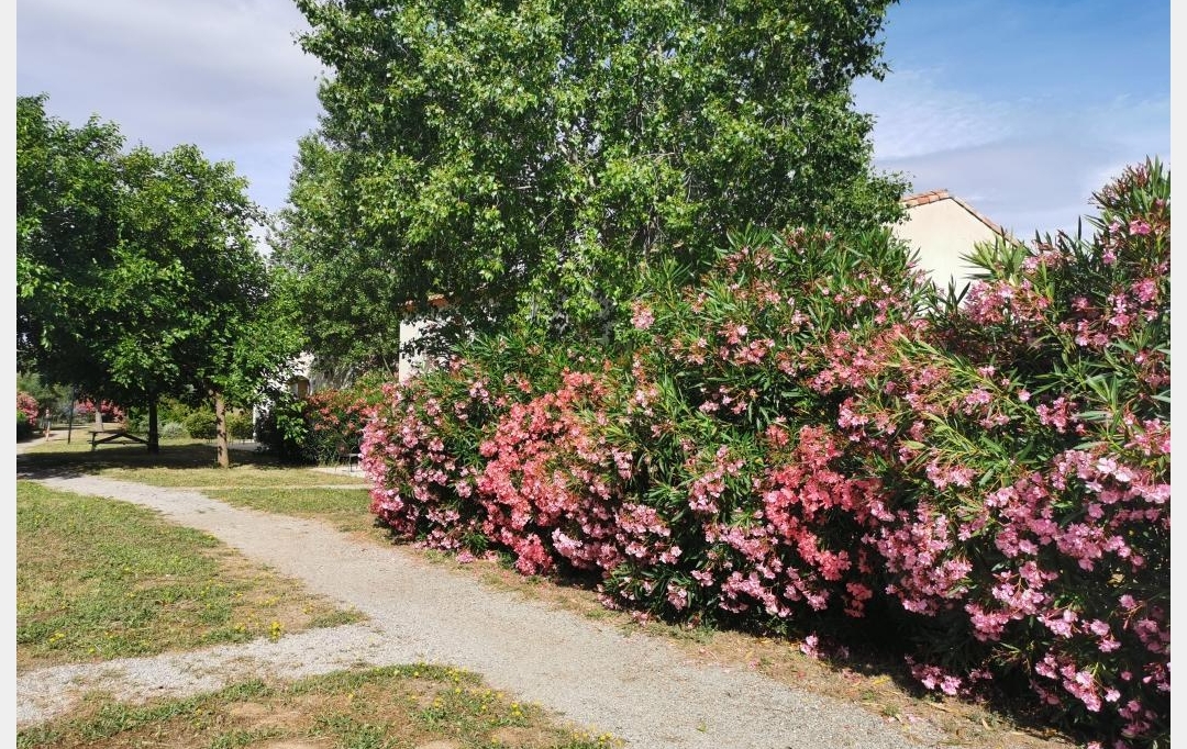 AIGUES-VIVES IMMO : Maison / Villa | GALLARGUES-LE-MONTUEUX (30660) | 35 m2 | 76 000 € 
