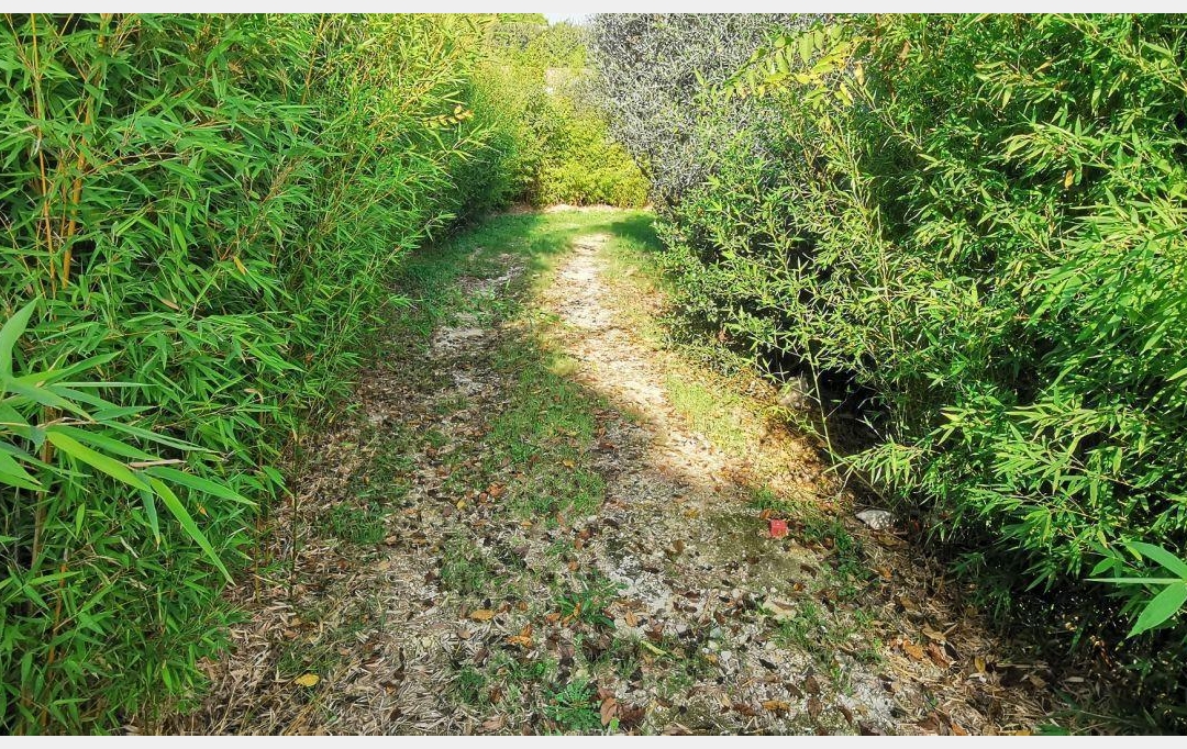 AIGUES-VIVES IMMO : Terrain | AIGUES-VIVES (30670) | 0 m2 | 259 000 € 
