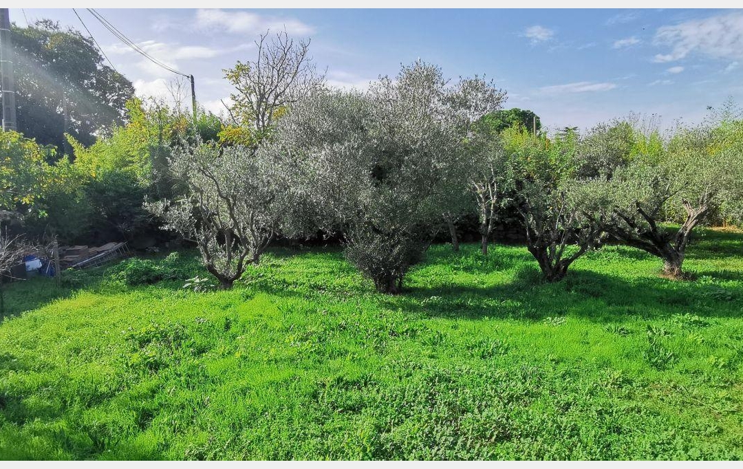 AIGUES-VIVES IMMO : Terrain | AIGUES-VIVES (30670) | 0 m2 | 259 000 € 
