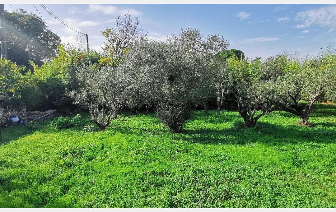 AIGUES-VIVES IMMO : Terrain | AIGUES-VIVES (30670) | 0 m2 | 315 000 € 