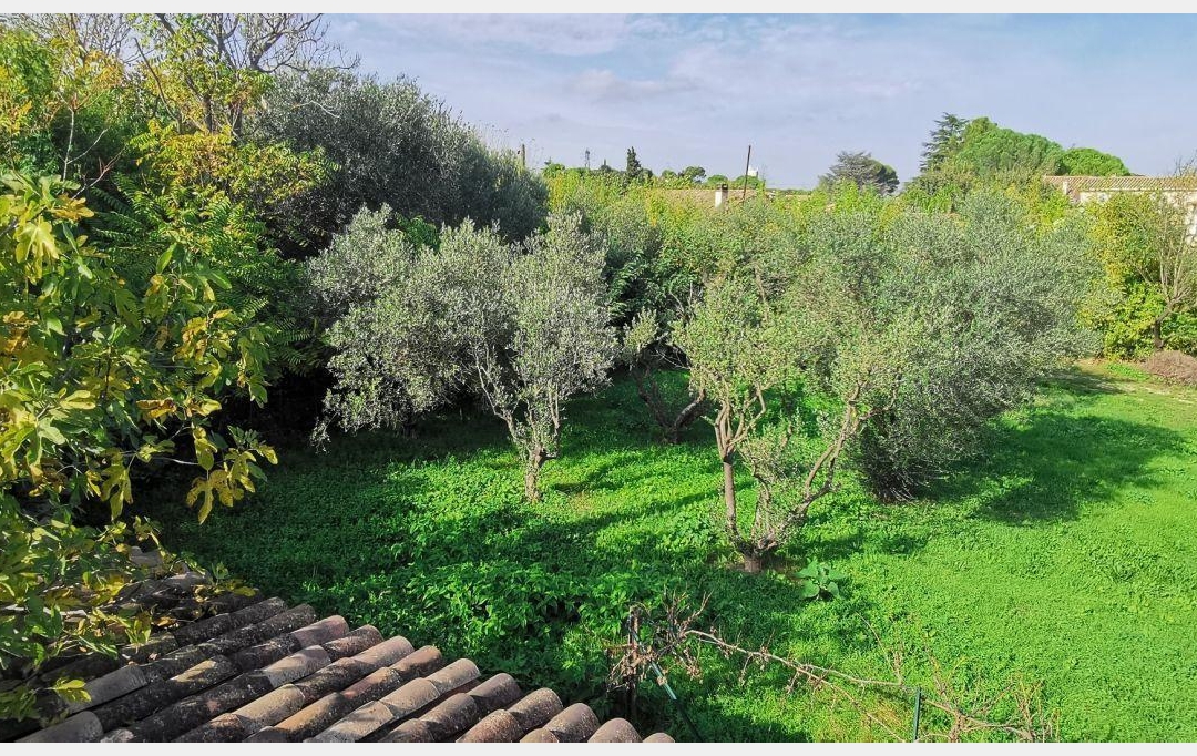 AIGUES-VIVES IMMO : Terrain | AIGUES-VIVES (30670) | 0 m2 | 259 000 € 