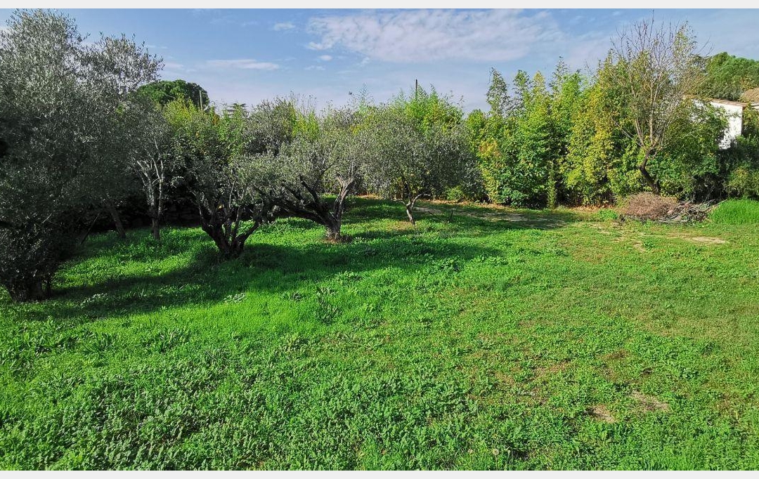 AIGUES-VIVES IMMO : Terrain | AIGUES-VIVES (30670) | 0 m2 | 259 000 € 
