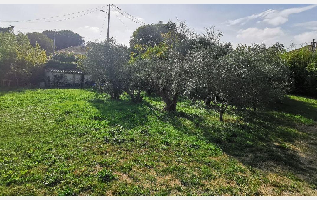 AIGUES-VIVES IMMO : Terrain | AIGUES-VIVES (30670) | 0 m2 | 259 000 € 