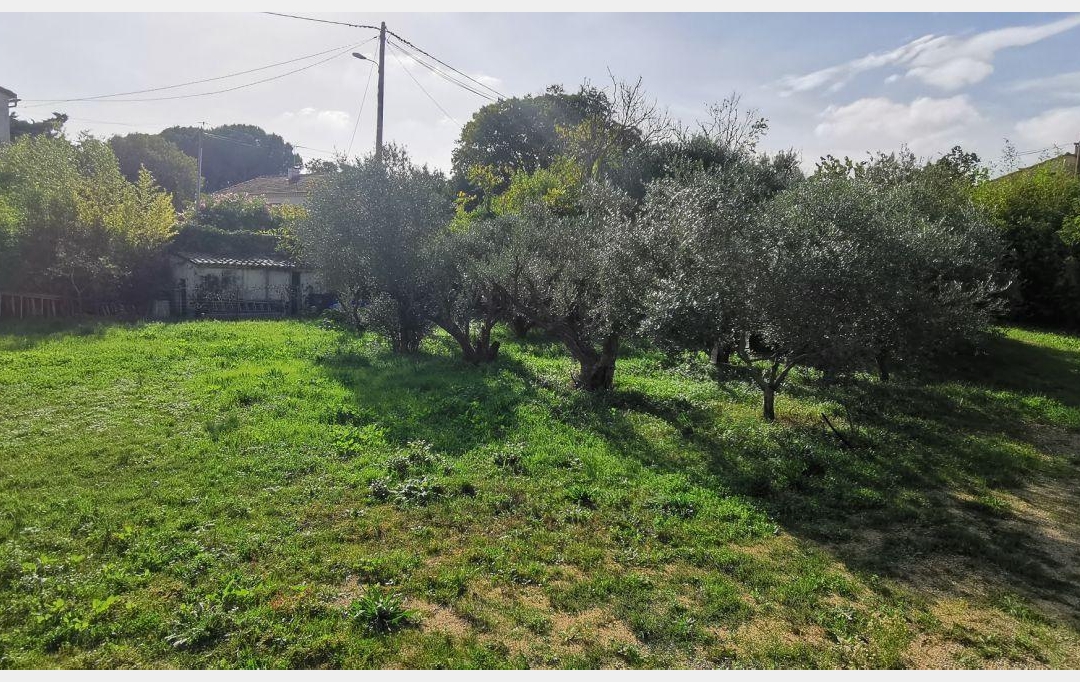 AIGUES-VIVES IMMO : Terrain | AIGUES-VIVES (30670) | 0 m2 | 315 000 € 