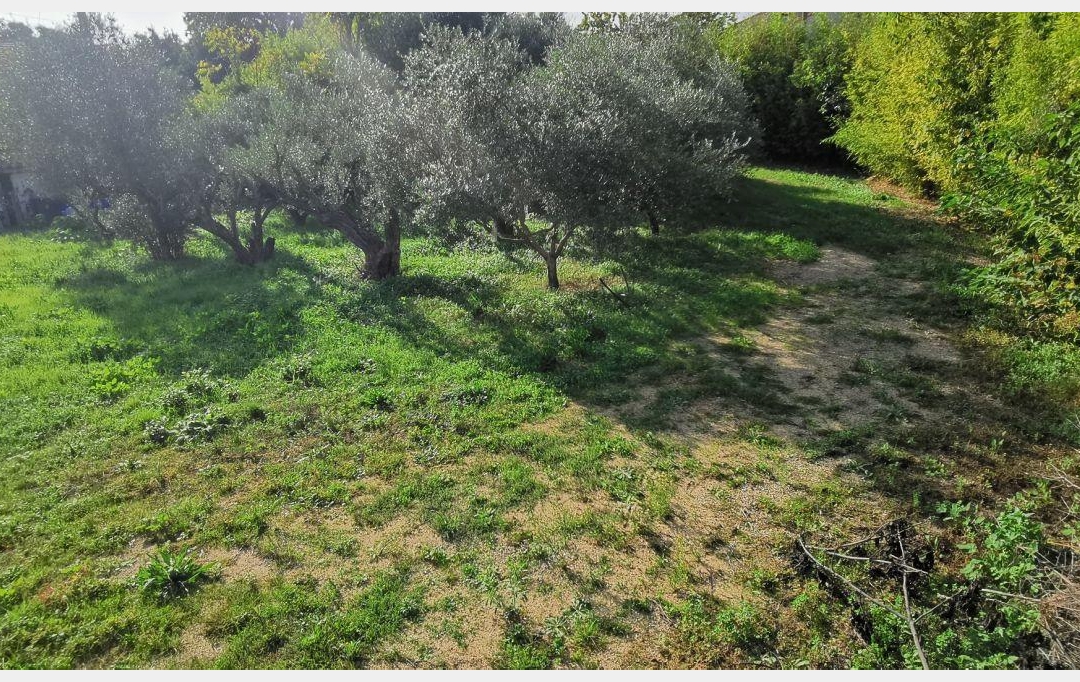 AIGUES-VIVES IMMO : Terrain | AIGUES-VIVES (30670) | 0 m2 | 315 000 € 