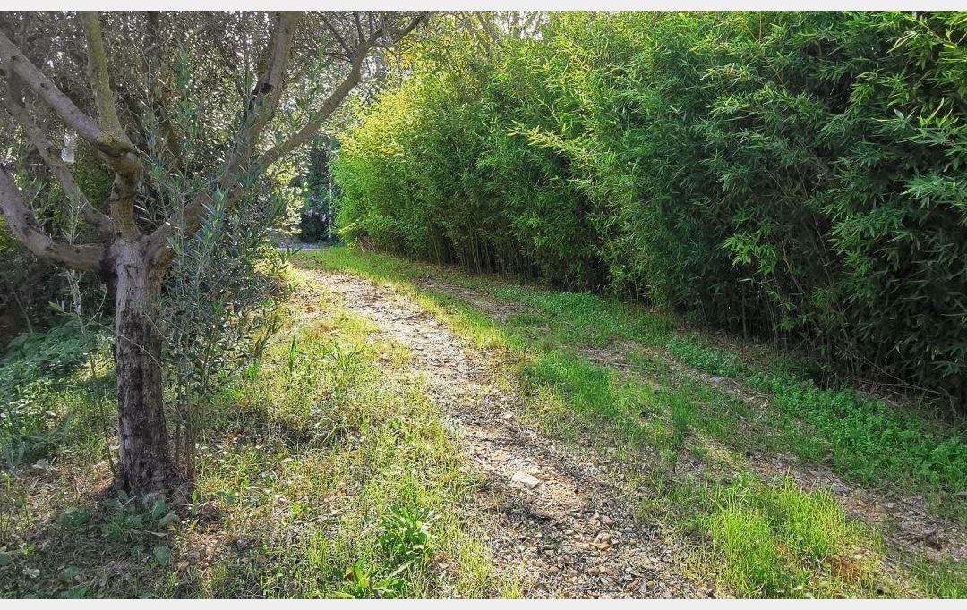 AIGUES-VIVES IMMO : Terrain | AIGUES-VIVES (30670) | 0 m2 | 315 000 € 