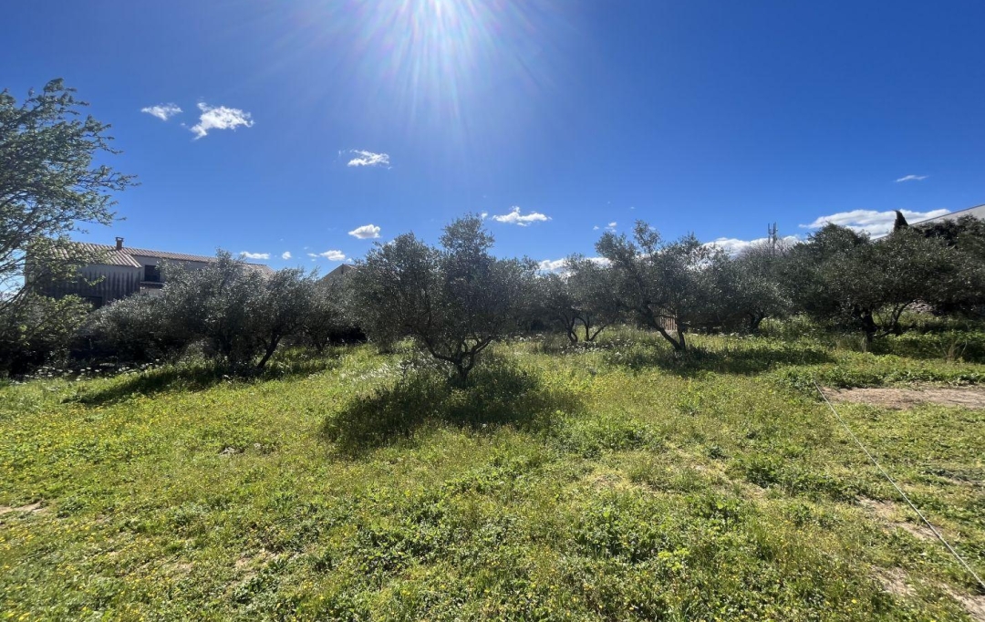 AIGUES-VIVES IMMO : Terrain | AUBAIS (30250) | 0 m2 | 230 000 € 