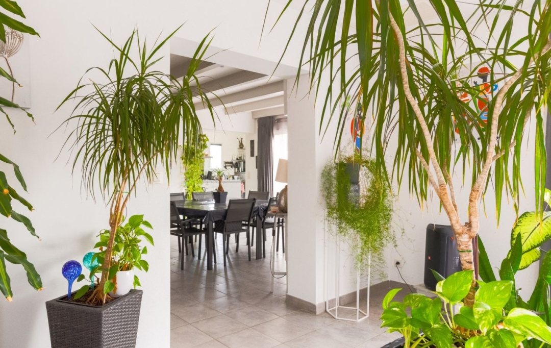 AIGUES-VIVES IMMO : House | AIGUES-VIVES (30670) | 165 m2 | 495 000 € 