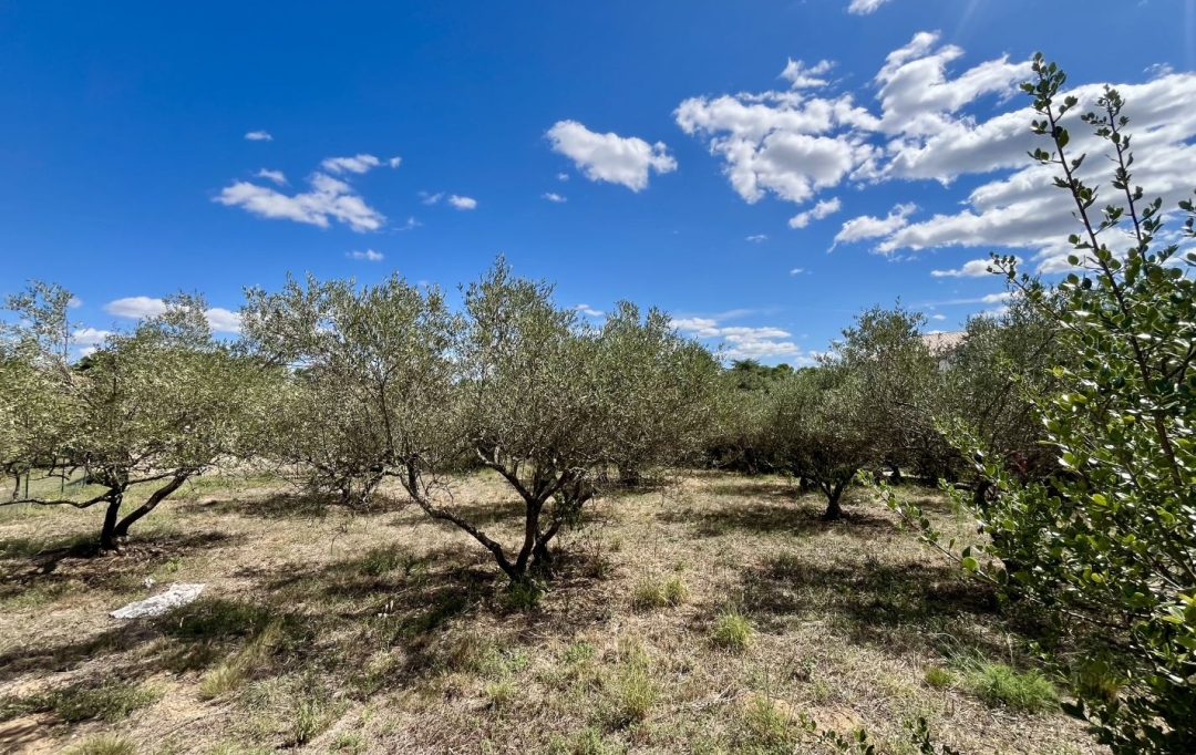 AIGUES-VIVES IMMO : Ground | AUBAIS (30250) | 0 m2 | 214 000 € 