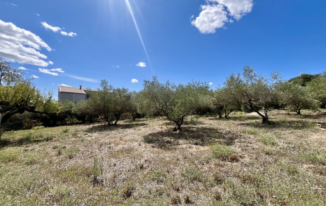 AIGUES-VIVES IMMO : Ground | AUBAIS (30250) | 0 m2 | 214 000 € 