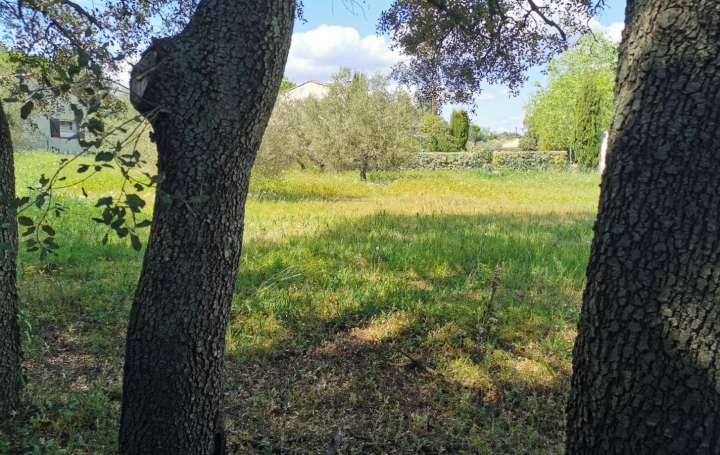 AIGUES-VIVES IMMO : Terrain | AUBAIS (30250) | 1 003 m2 | 278 000 € 