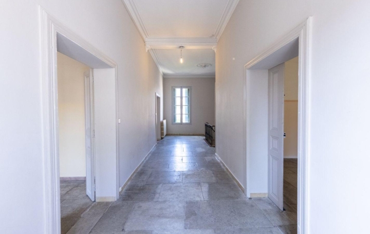 AIGUES-VIVES IMMO : Maison / Villa | AIGUES-VIVES (30670) | 270 m2 | 520 000 € 