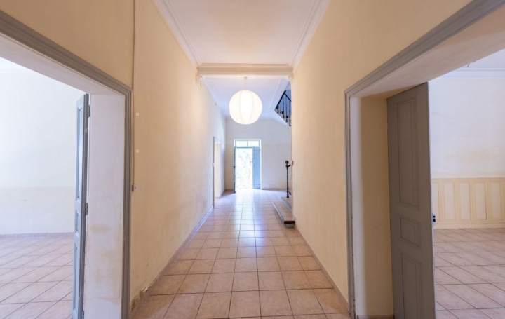 AIGUES-VIVES IMMO : Maison / Villa | AIGUES-VIVES (30670) | 270 m2 | 520 000 € 