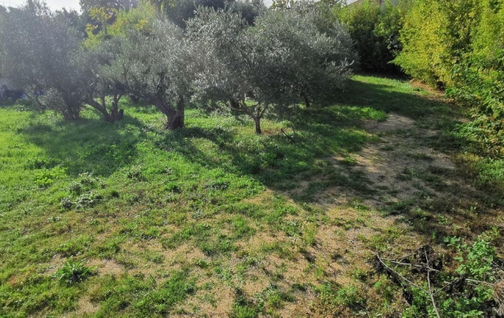 AIGUES-VIVES IMMO : Terrain | AIGUES-VIVES (30670) | 0 m2 | 189 000 € 