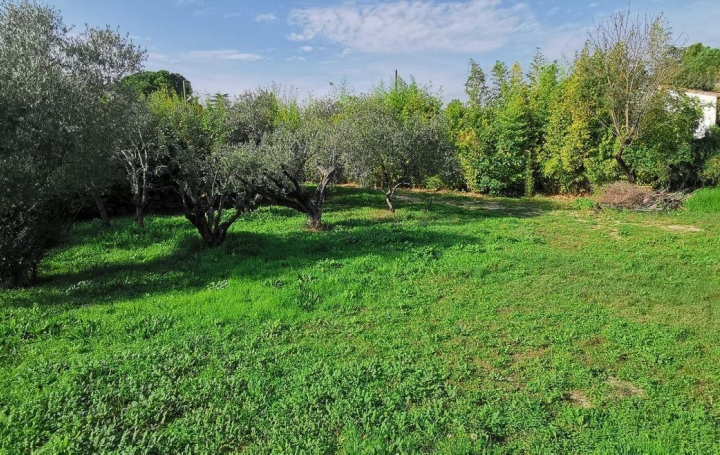  AIGUES-VIVES IMMO Terrain | AIGUES-VIVES (30670) | 0 m2 | 179 000 € 